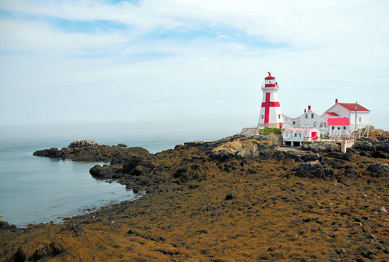 东Quoddy灯塔又名Head Harbor Light -只有在低潮或接近低潮时才能从陆地上到达，位于加拿大新省坎波贝罗岛